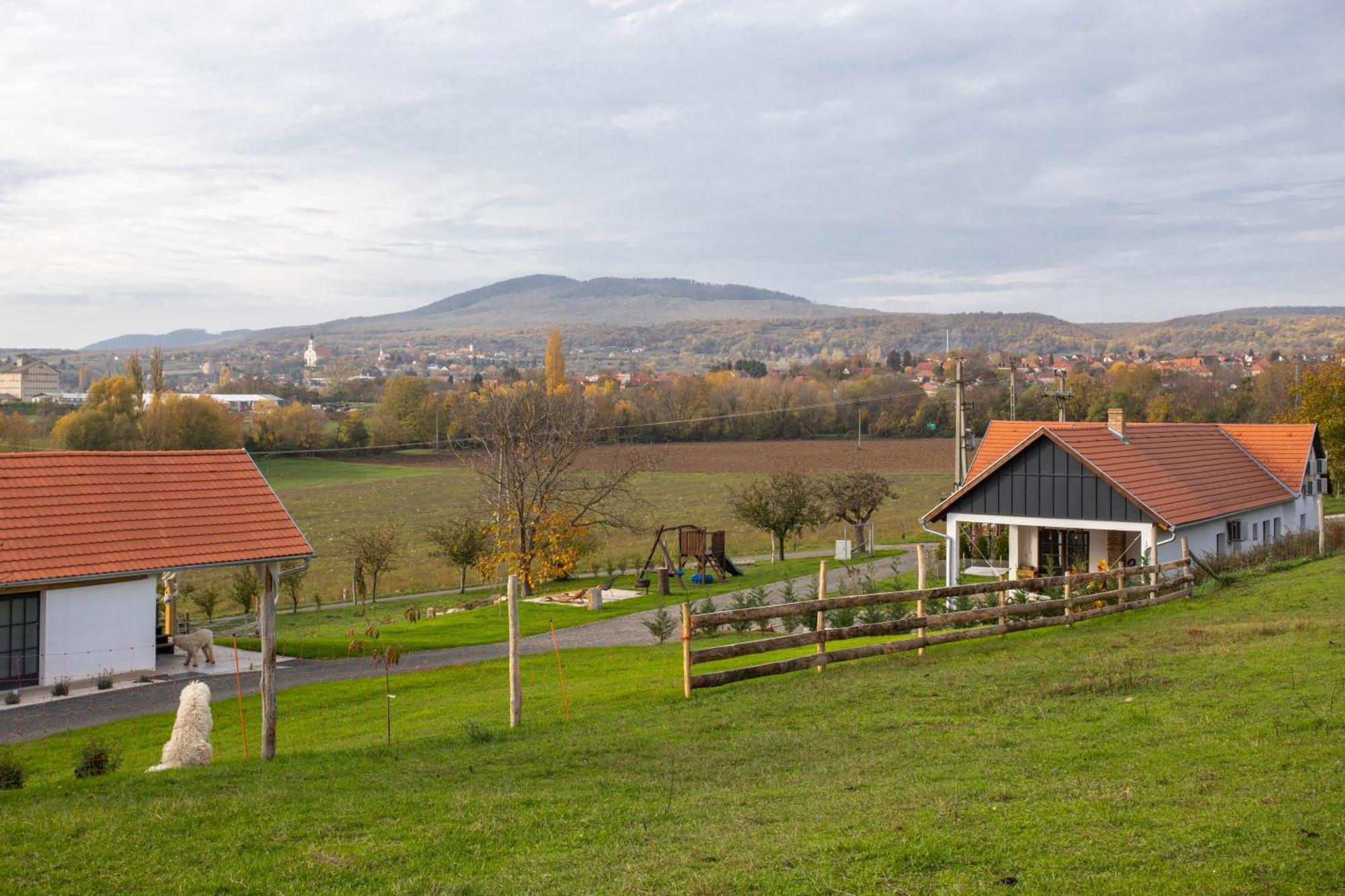 Отель Kishosszuret Vendeghaz Pecsvarad Экстерьер фото